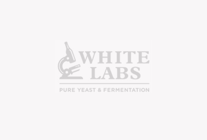 The Many Flavors Of Fermentation (On-Demand Course)