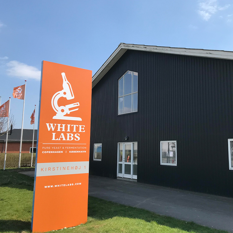 Yeast and Fermentation White Labs