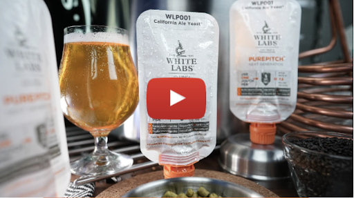 White Labs PurePitch® Next Generation for Homebrewers