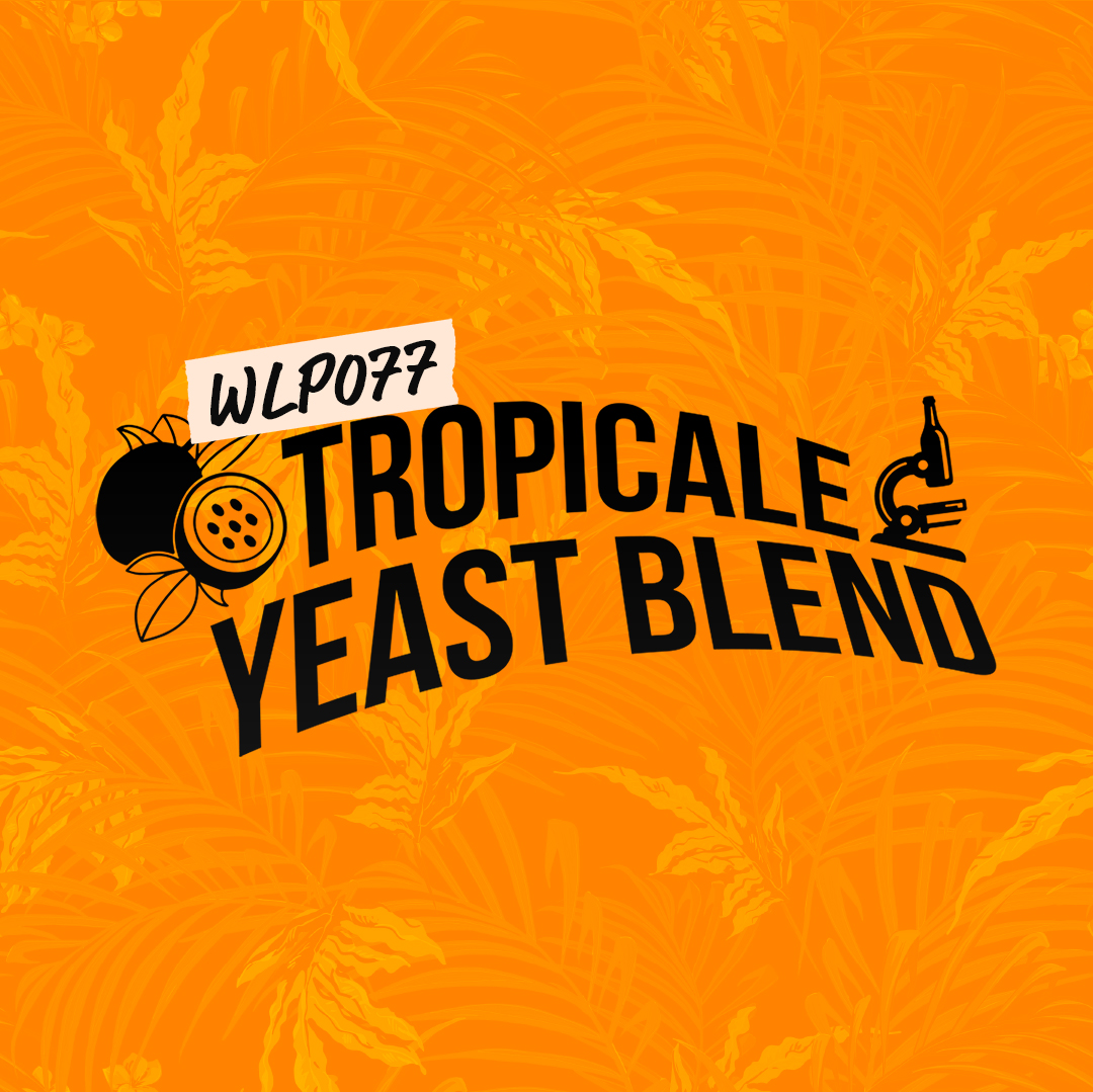 NEW WLP077 TROPICALE YEAST BLEND