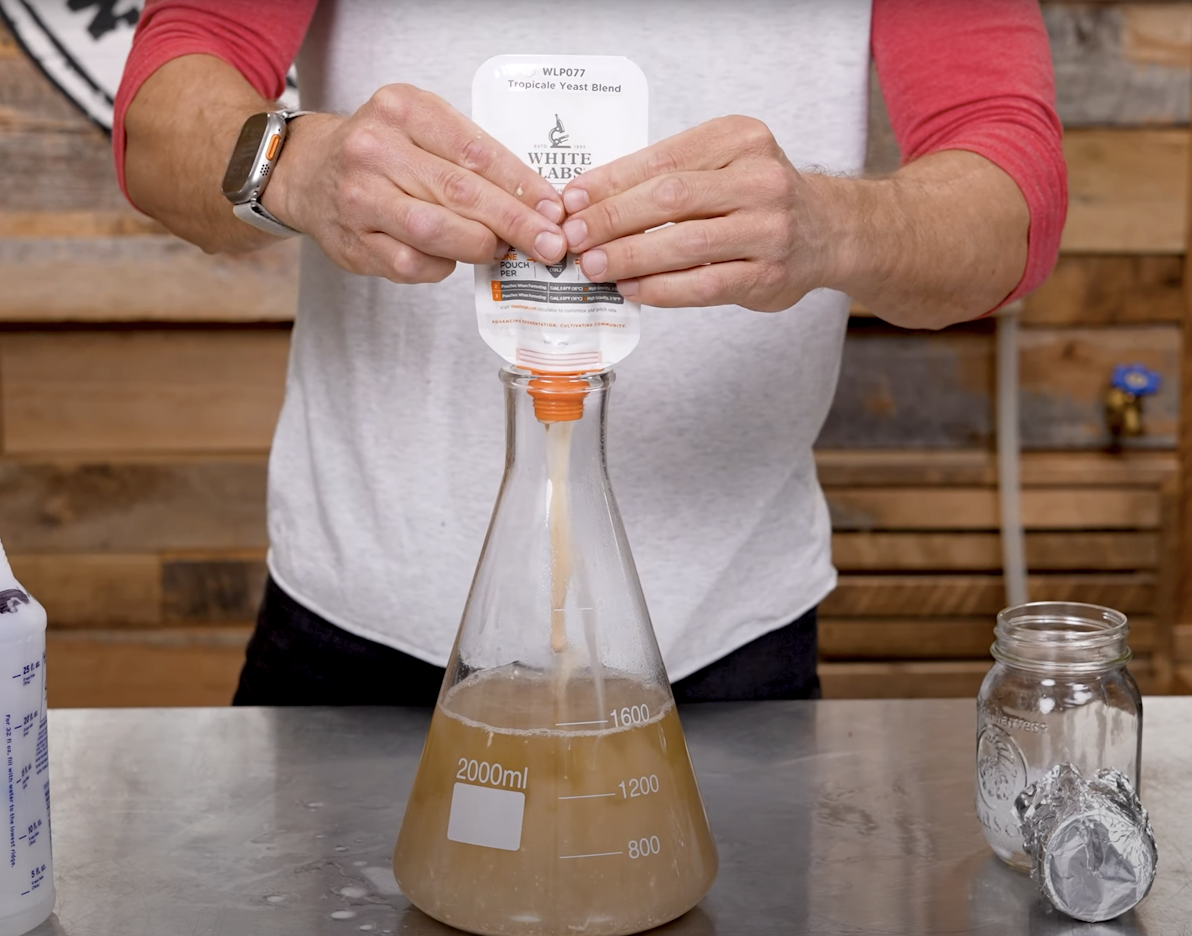 How to Make a Yeast Starter 101