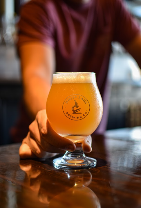 Blog: Stop Diacetyl in its tracks with Brewzyme-D