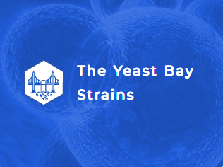 Get The Yeast Bay Directly From White Labs!