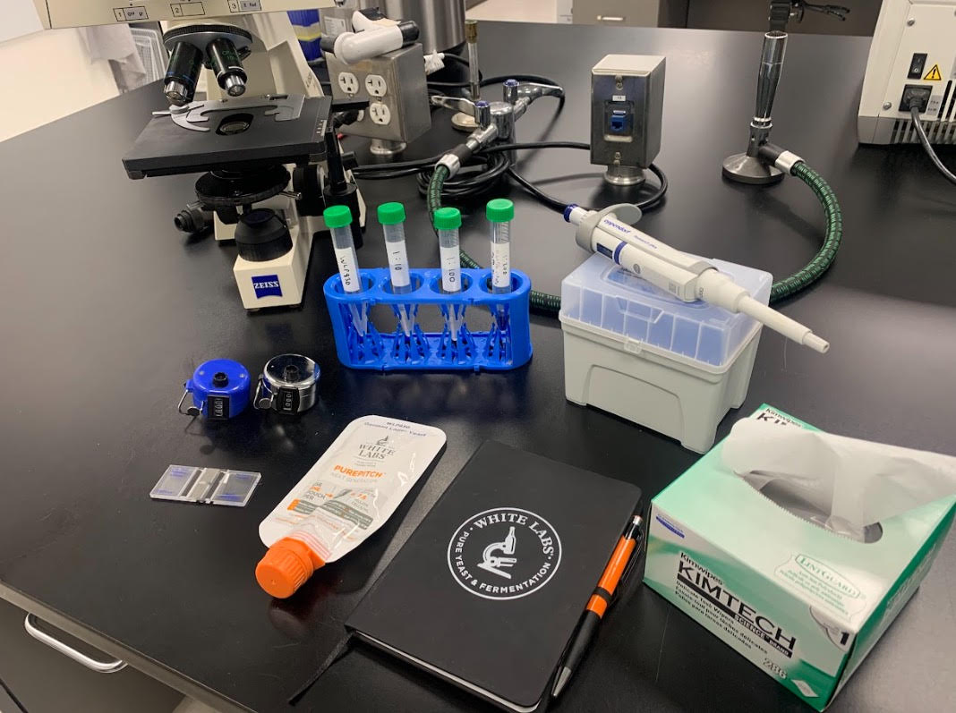 Quick & Easy Cell Counting Tips