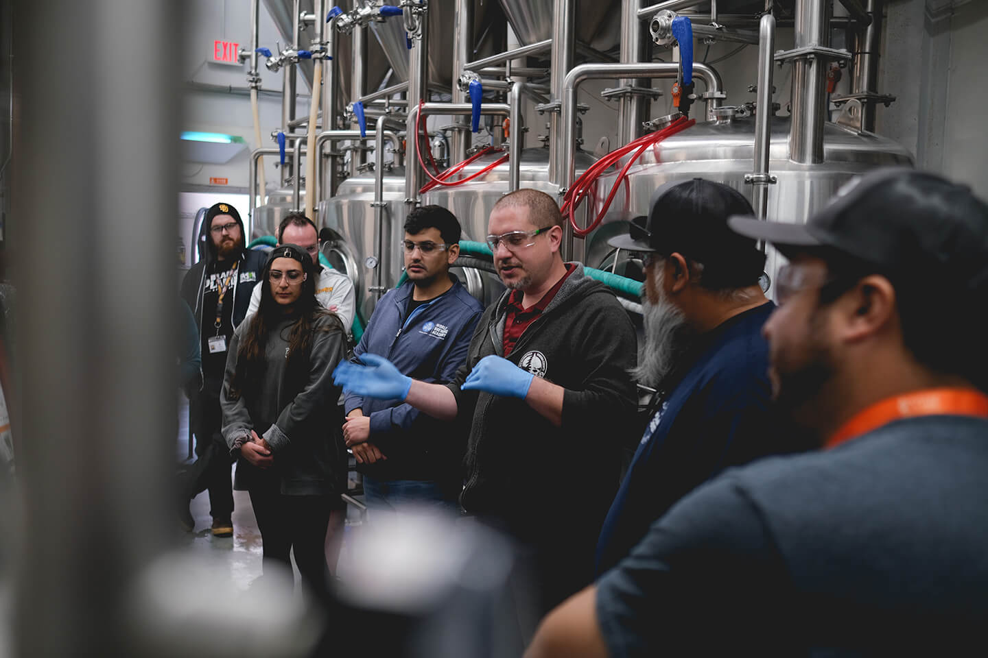 All Things Fermentation blog