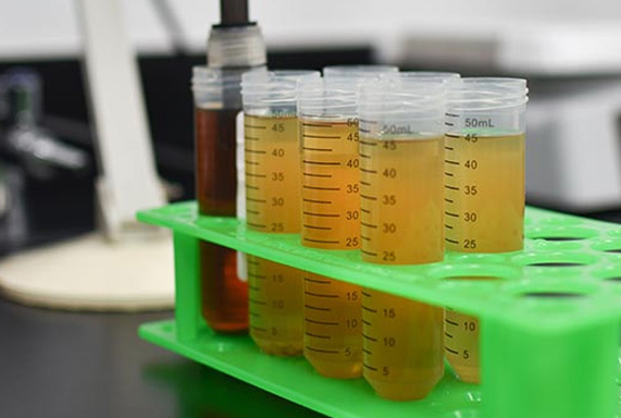 White Labs' Analytical Laboratory