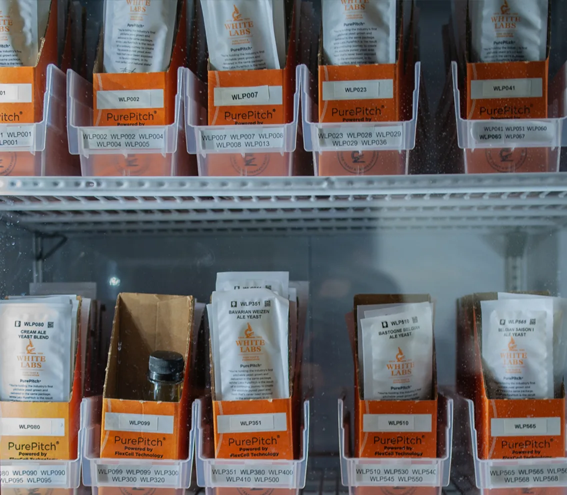 Yeast and Fermentation