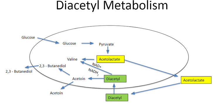 Diacetyl