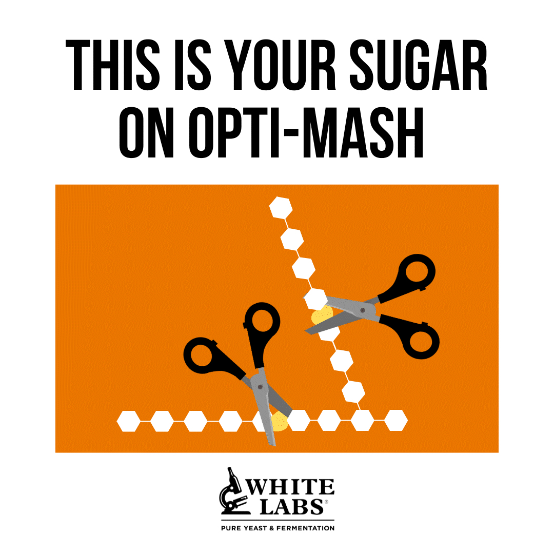 Fermentable Sugars: Opti-Mash