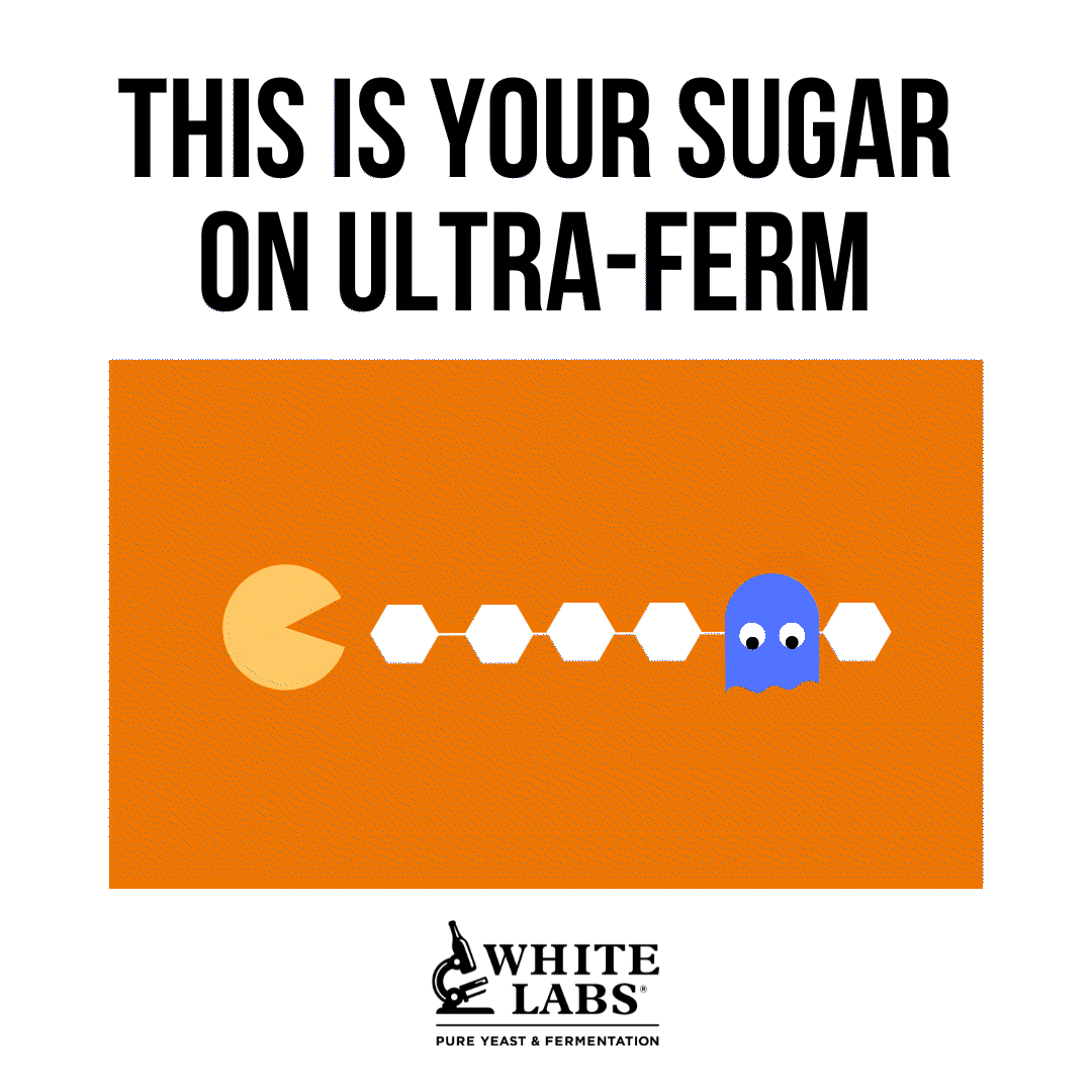 Fermentable Sugars: Ultra Ferm