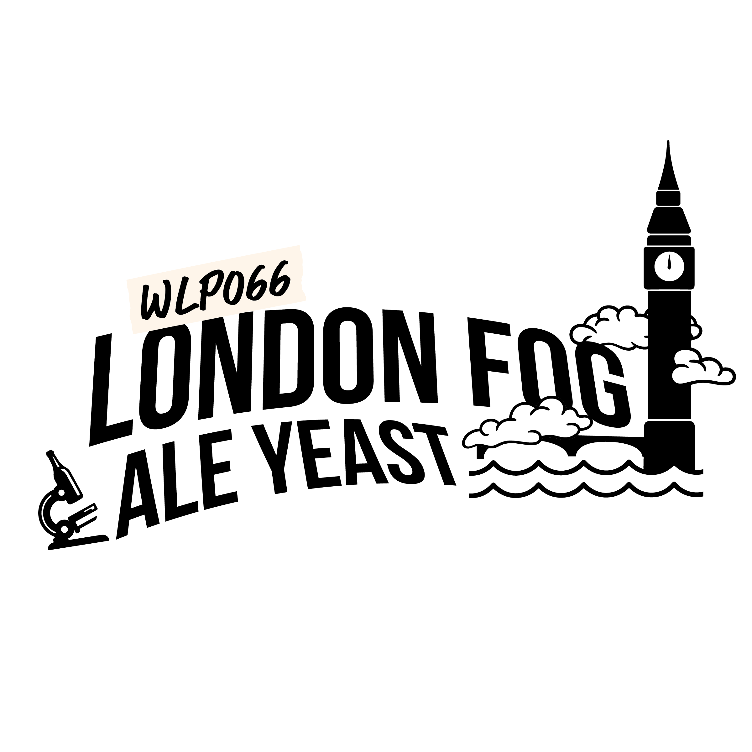 WLP066