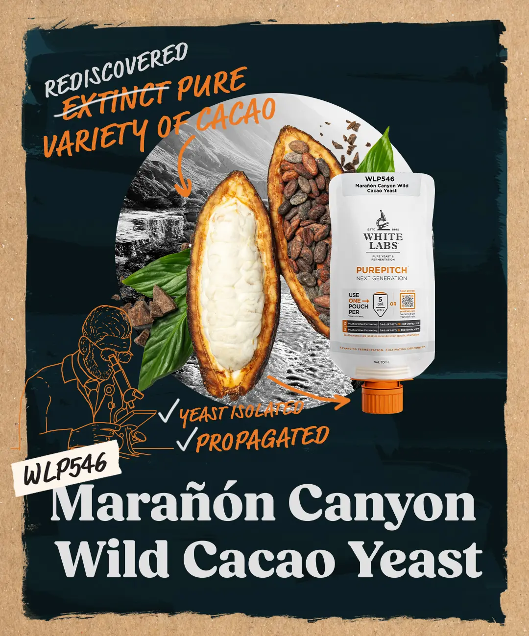Whitelabs, WLP546 Marañón Canyon Wild Cacao Yeast