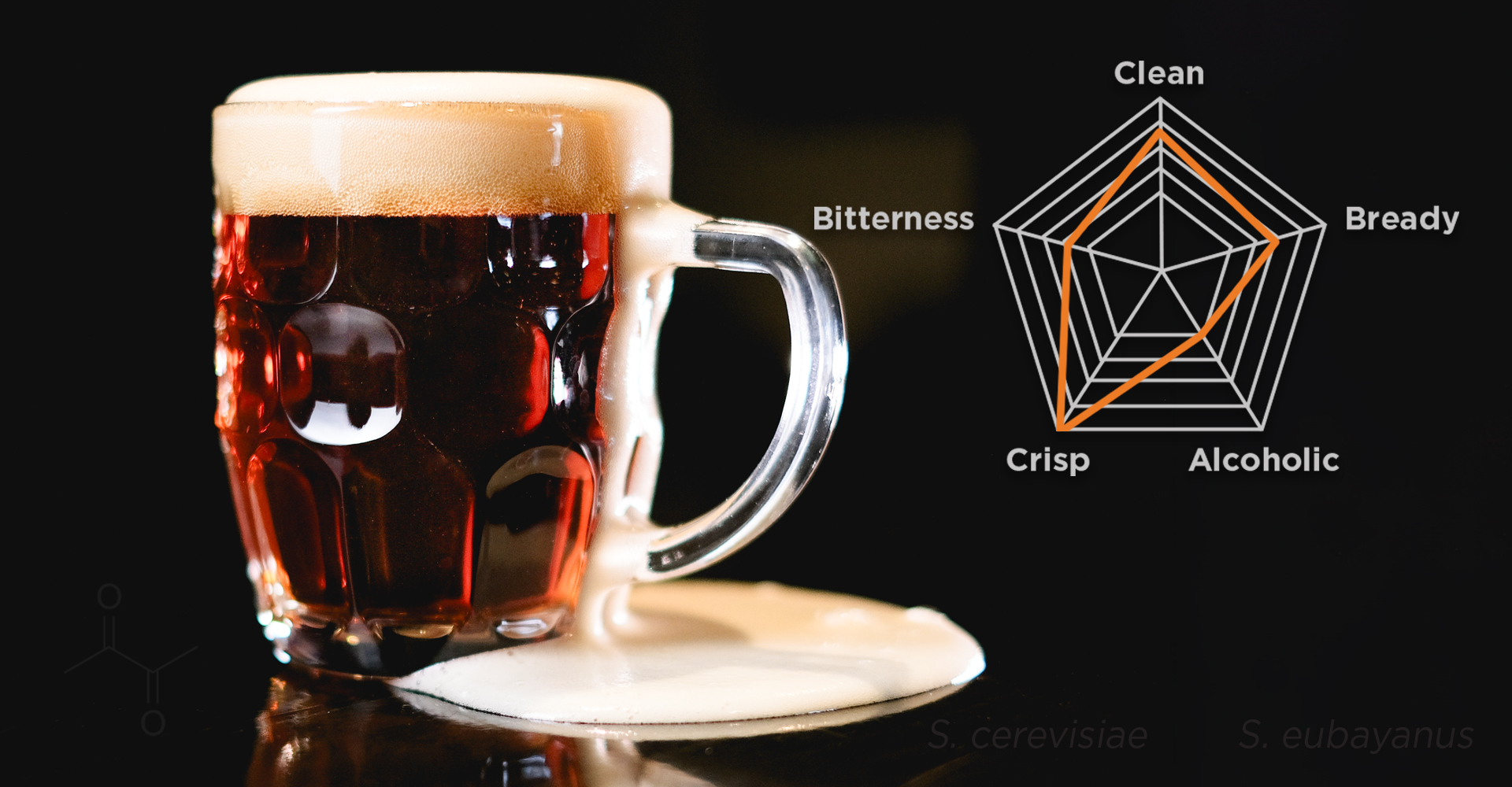 Tips From The Pitch Lagers