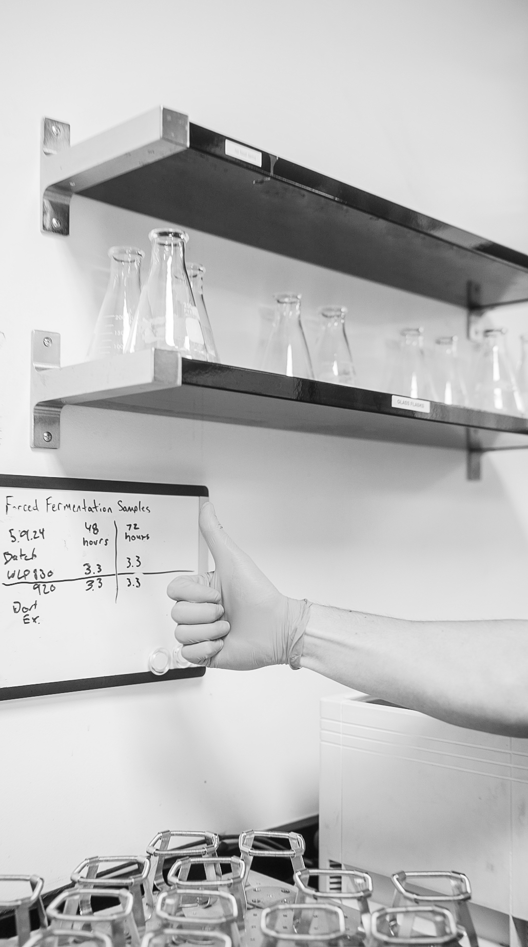 Forced Fermentation Test Whitelabs