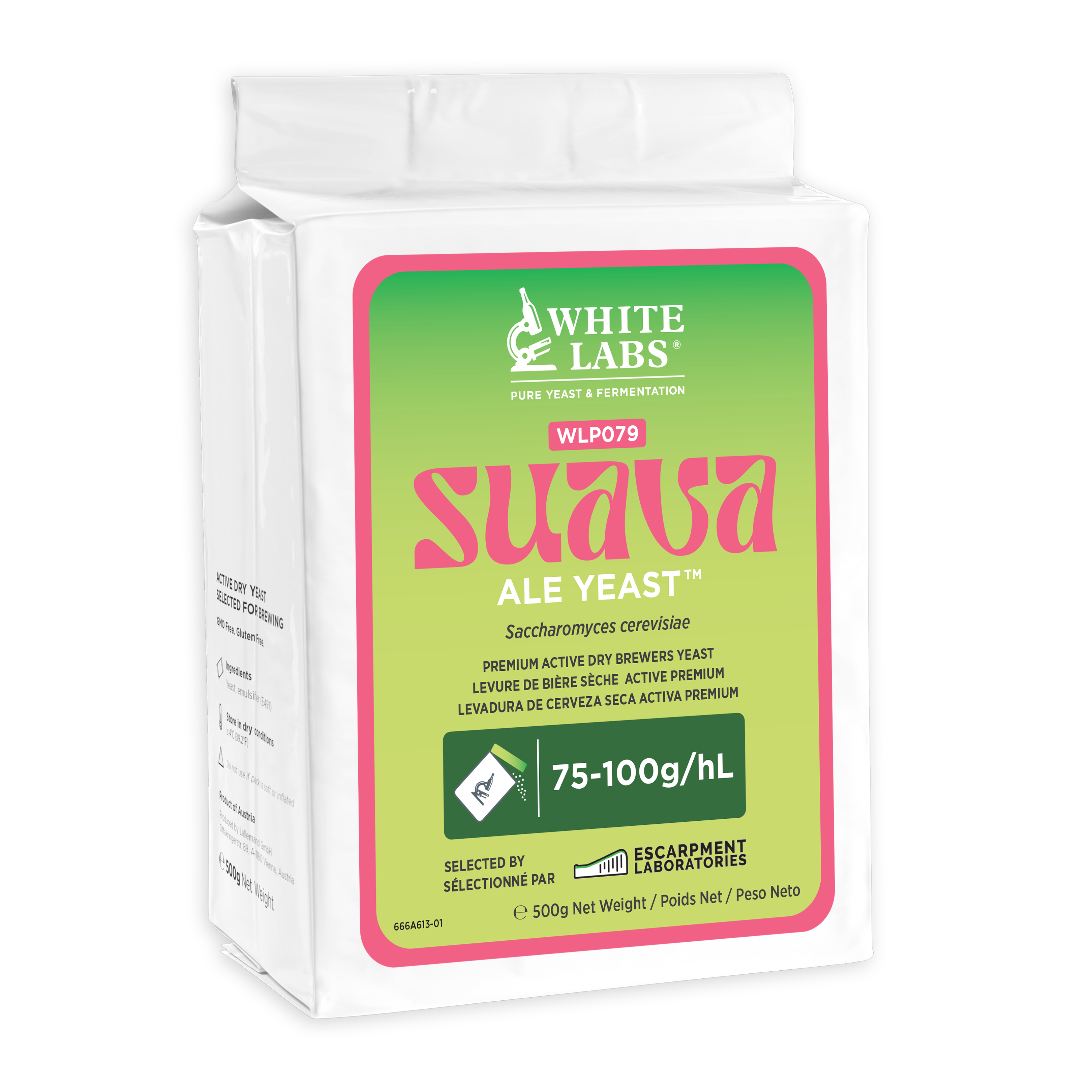 WLPD079 Suava Ale Yeast