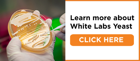 Learn more about White Labs Yeast