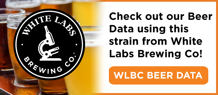 Check out beer data from White Labs Brewing Co using this strain