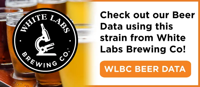 Check out beer data from White Labs Brewing Co using this strain