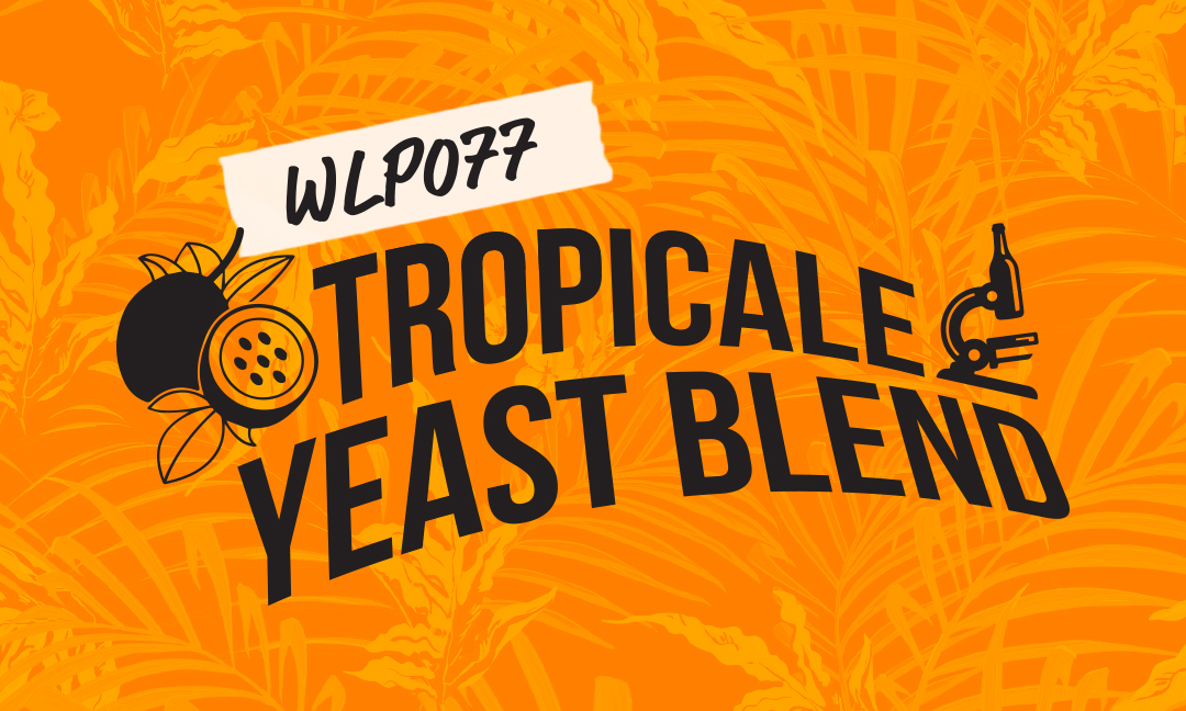 WLP077 Tropicale Yeast Blend