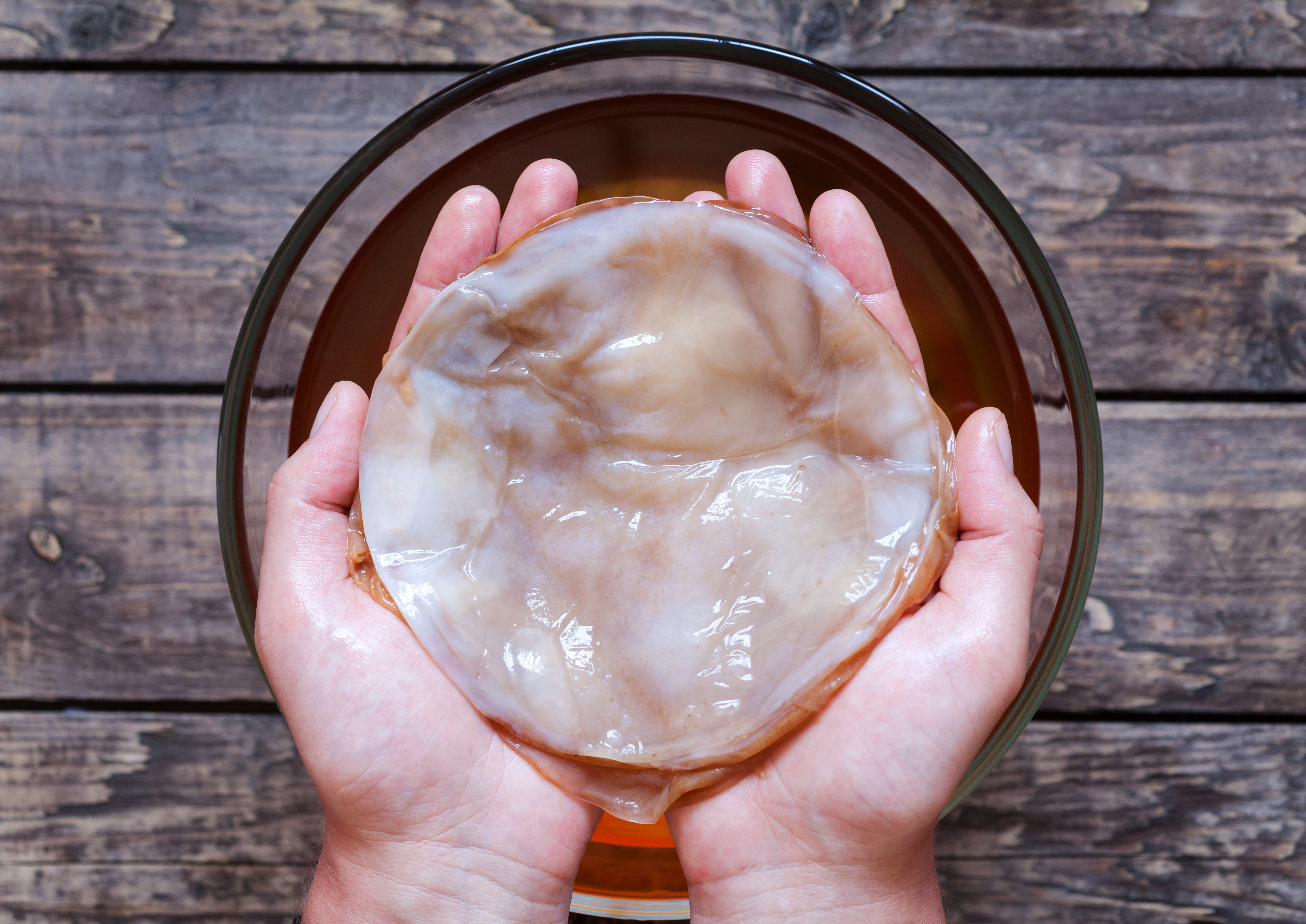 Making Kombucha with White Labs SCOBY